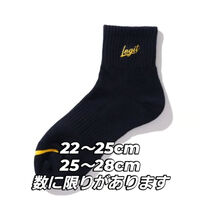 画像3624