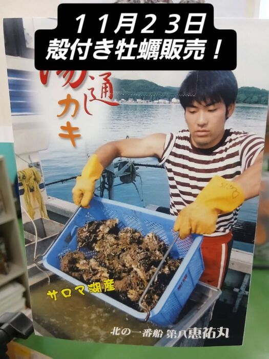 画像3783