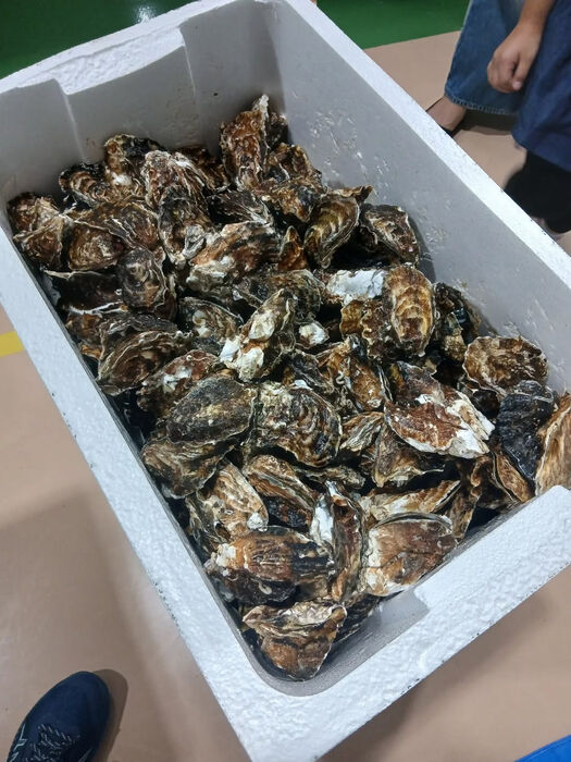 画像3784